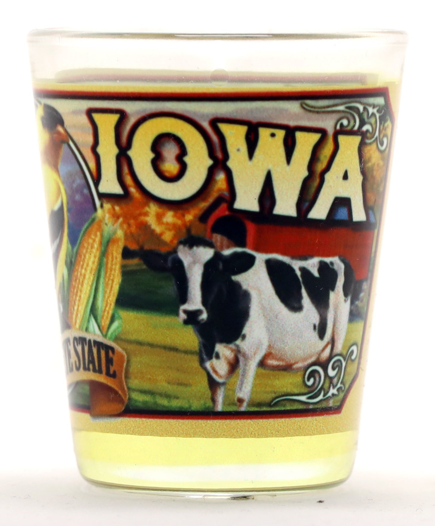 Iowa State Mural Shot Glass