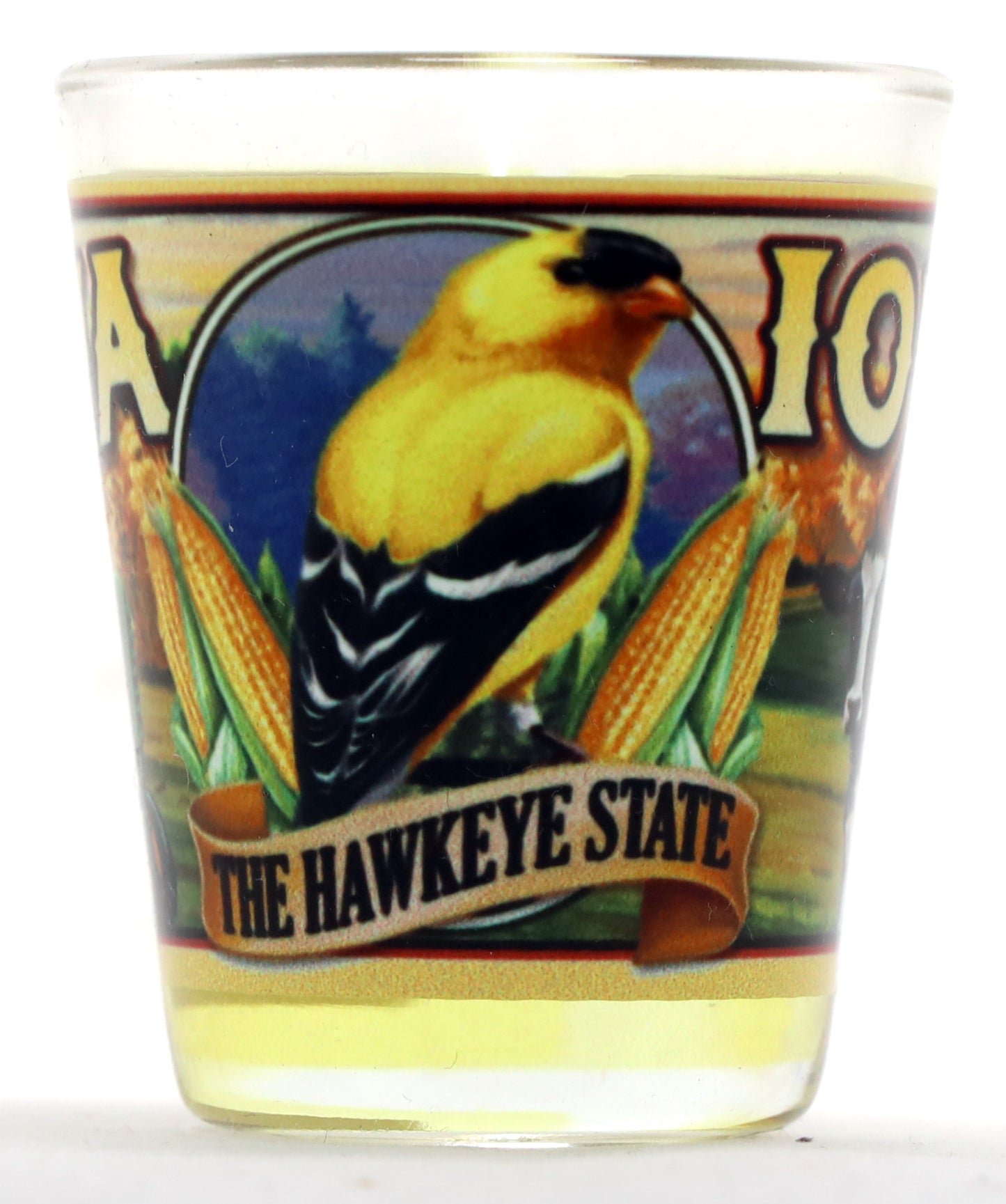 Iowa State Mural Shot Glass