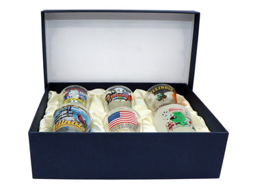 Illinois United States USA Souvenir Boxed Shot Glass Set (Set of 6)