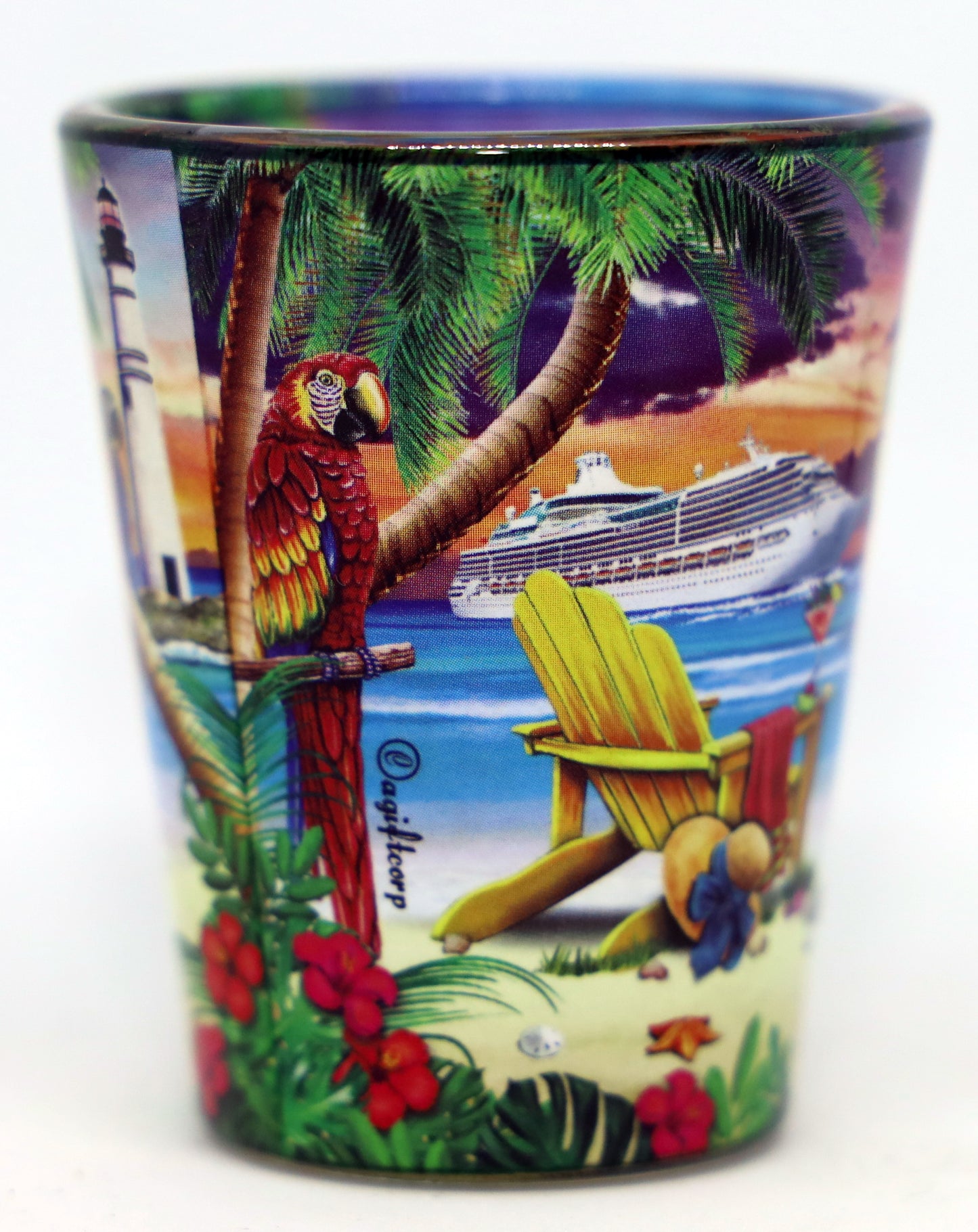 Key West Florida Scene In-and-Out Shot Glass