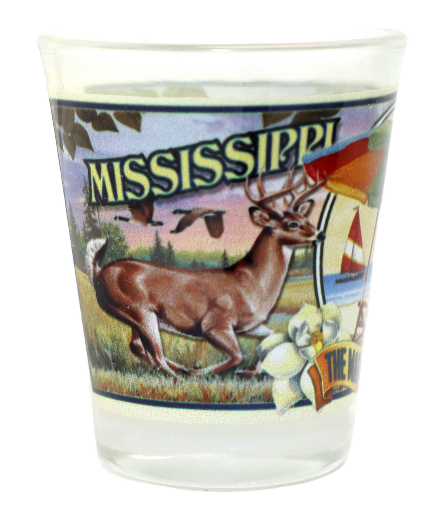 Mississippi State Mural Shot Glass