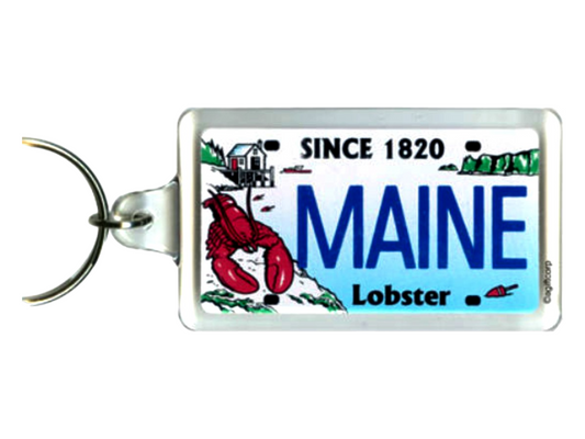 Maine State License Plate Acrylic Rectangular Souvenir Keychain 2.25" X 1.25"