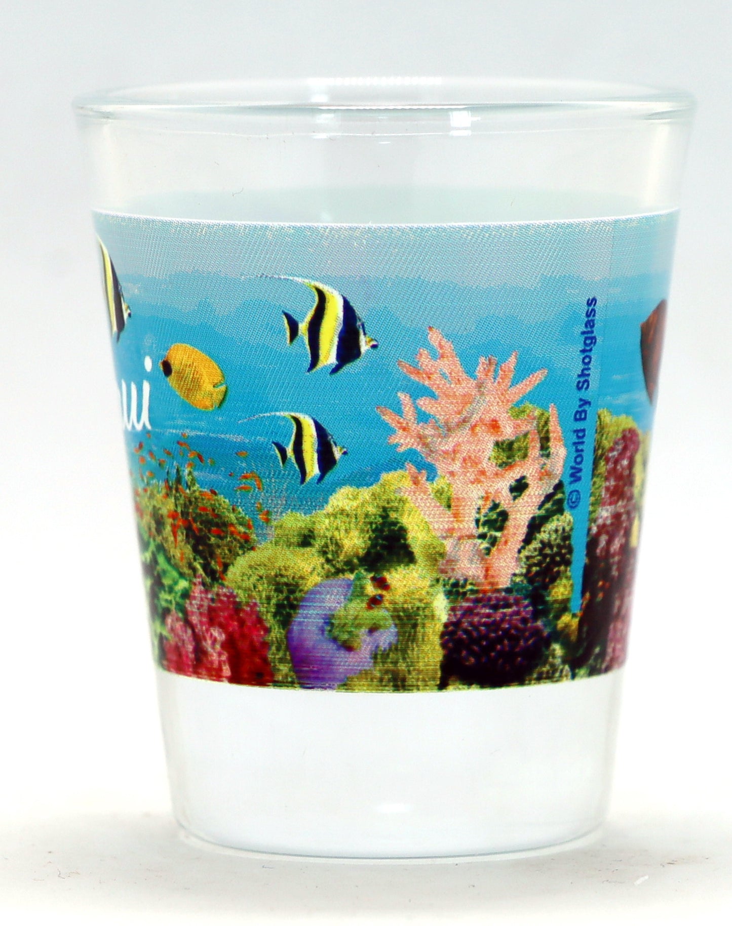 Maui Hawaii Tropical Fish and Turtle Shot Glass