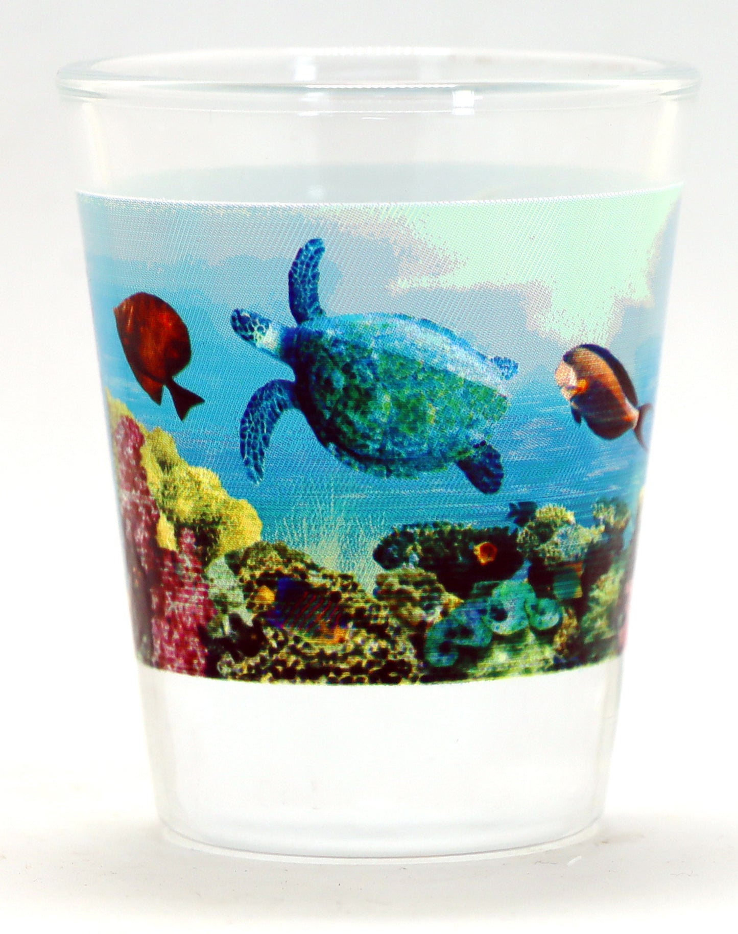 Maui Hawaii Tropical Fish and Turtle Shot Glass