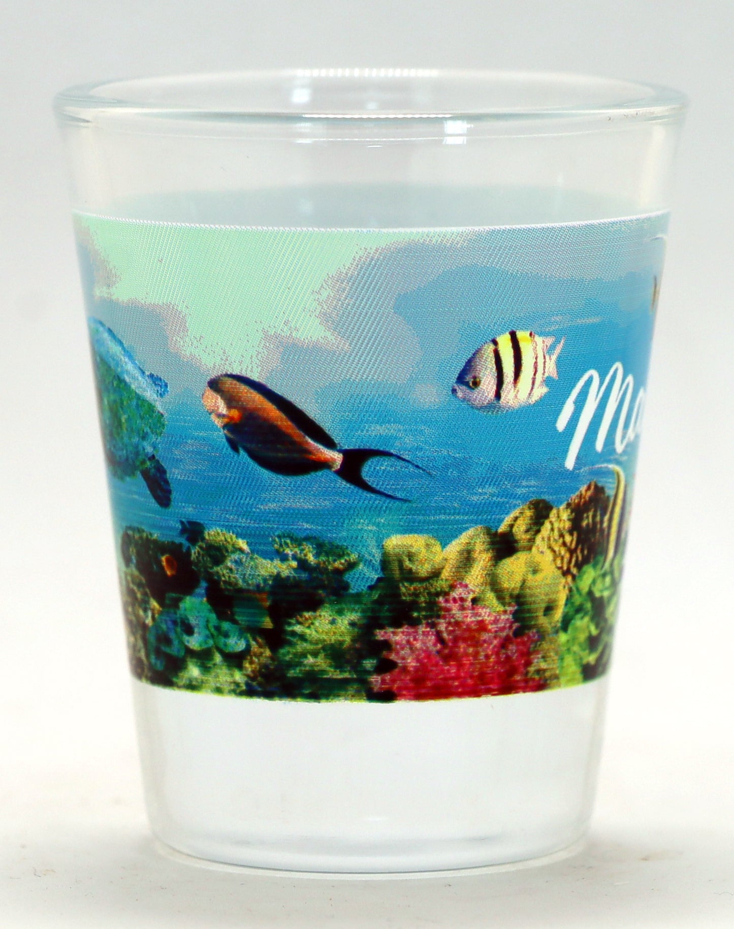 Maui Hawaii Tropical Fish and Turtle Shot Glass