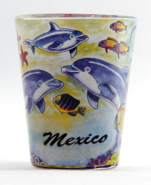 Mexico Dolphins Shot Glass New Edition