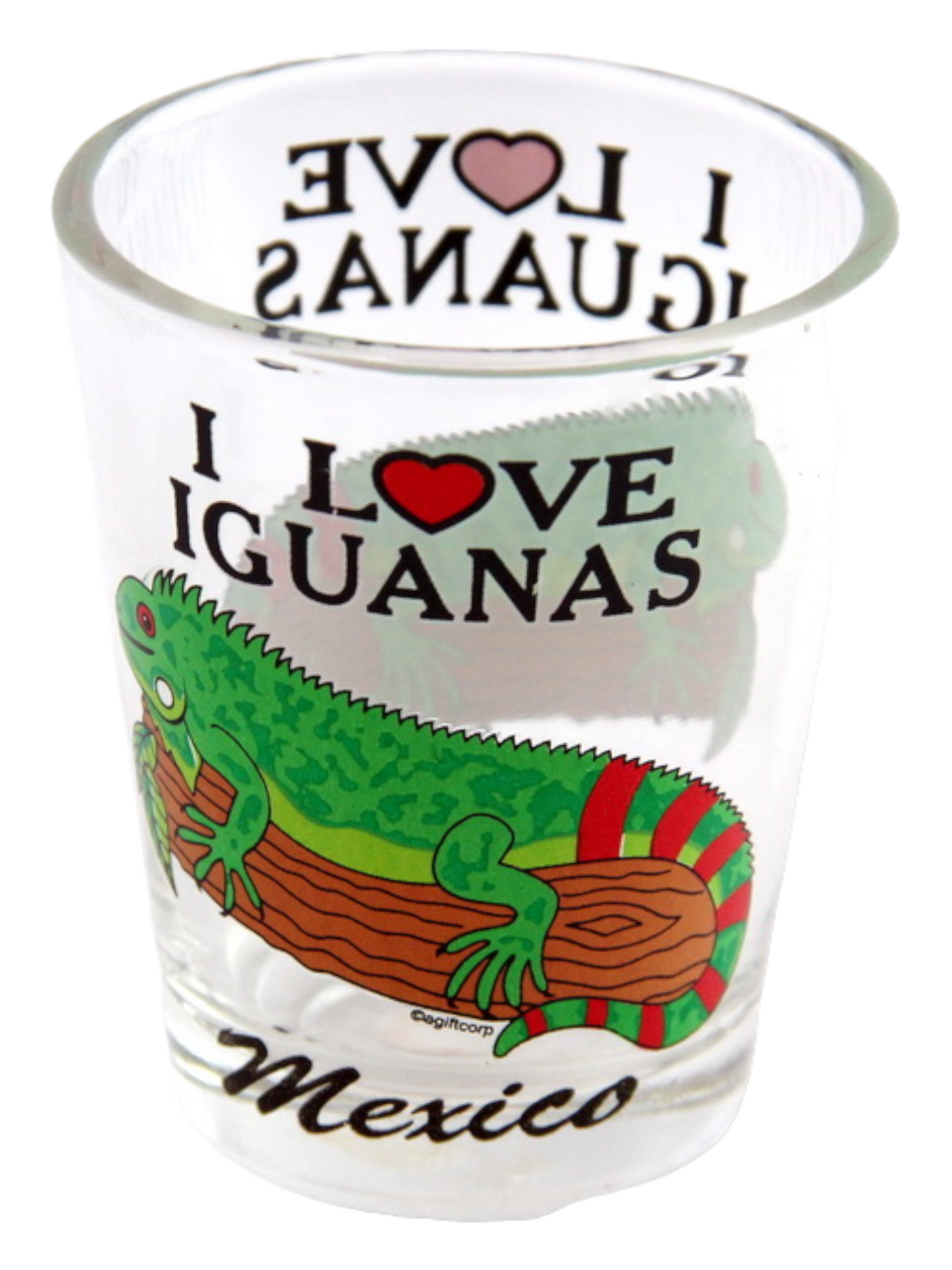 Mexico I Love Iguanas Shot Glass