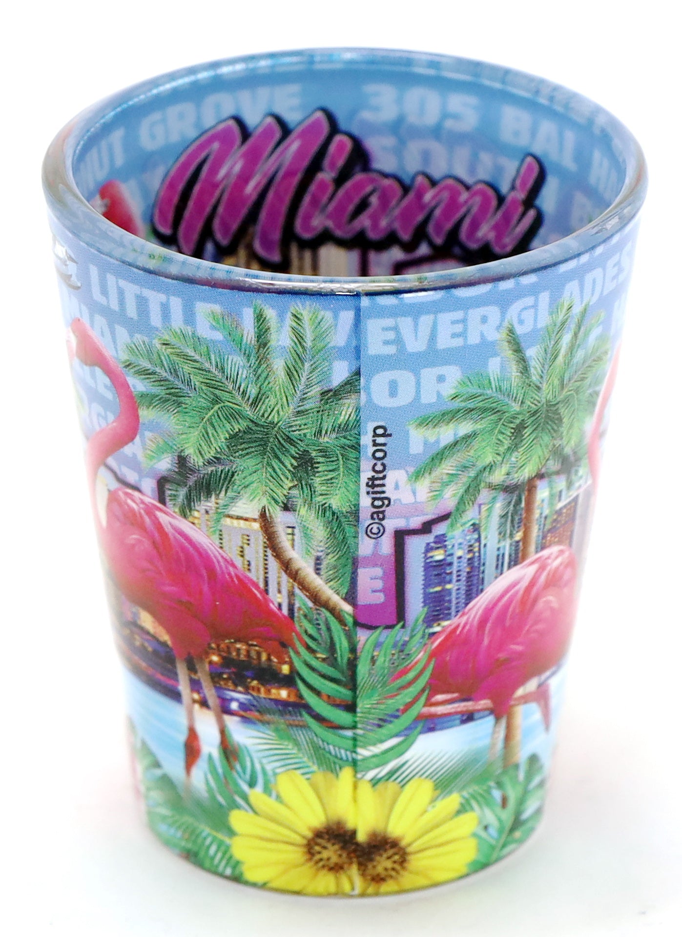 Miami Florida Flamingos Night In and Out Shot glass