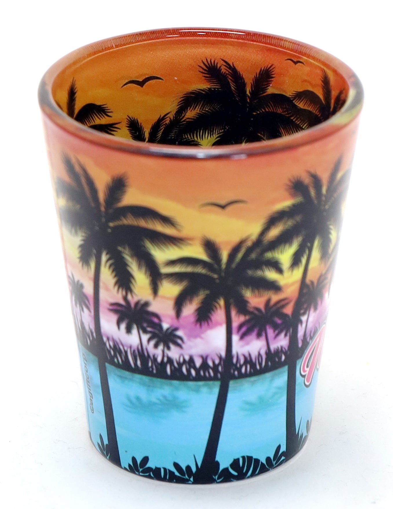 Miami Florida Palm Sunset In and Out Shot glass