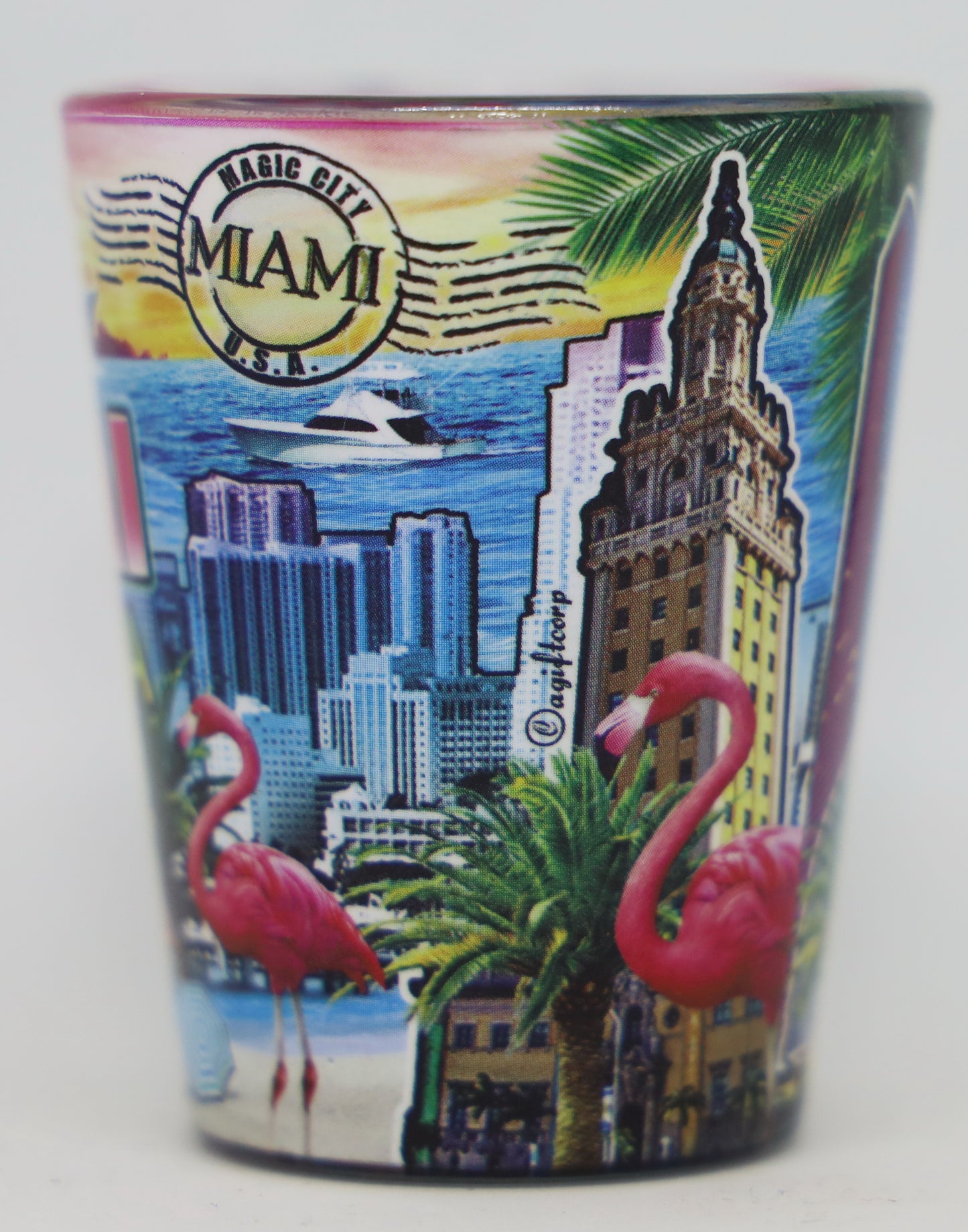 Miami Florida Scene In-and-Out Shot Glass