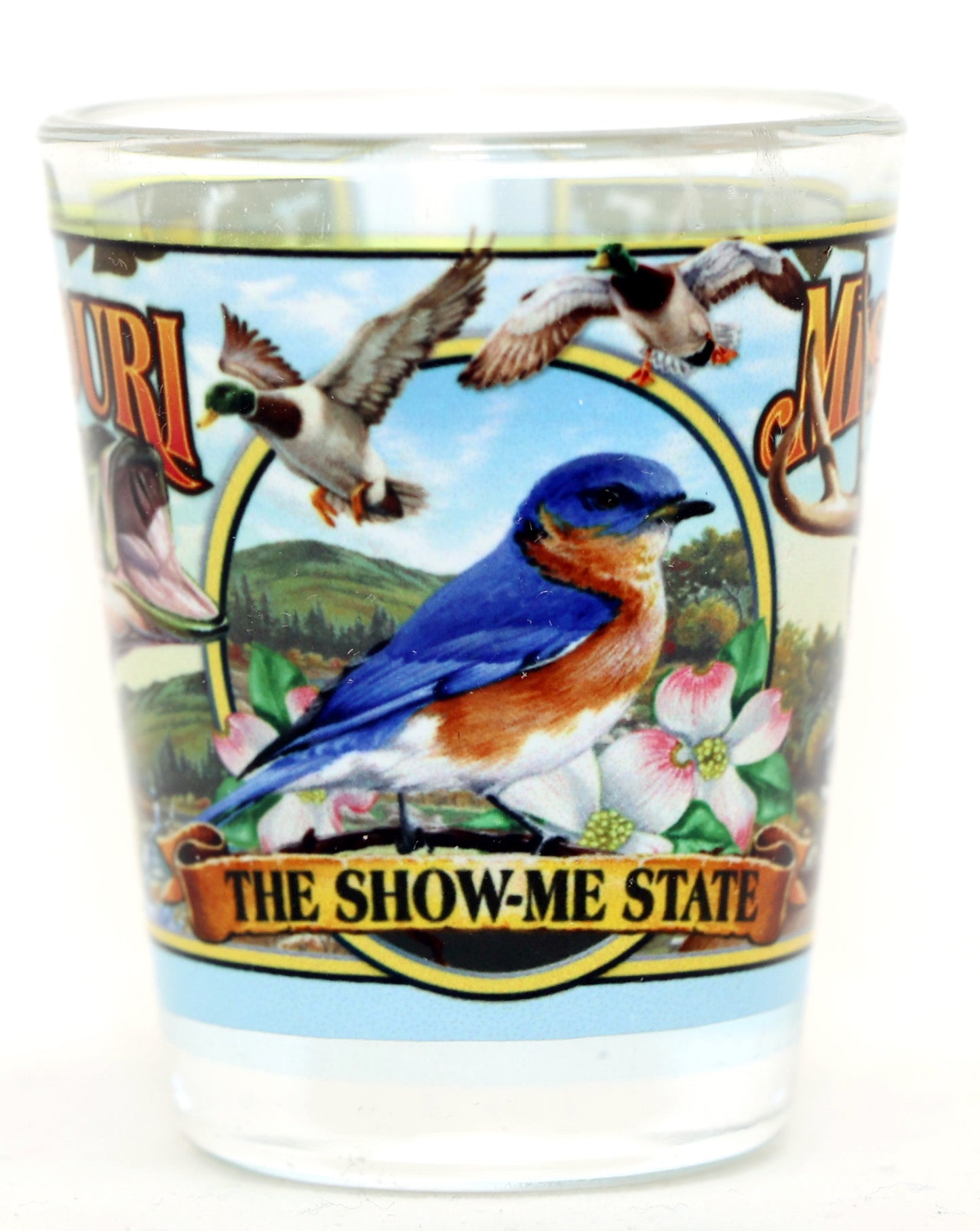 Missouri State Mural Shot Glass