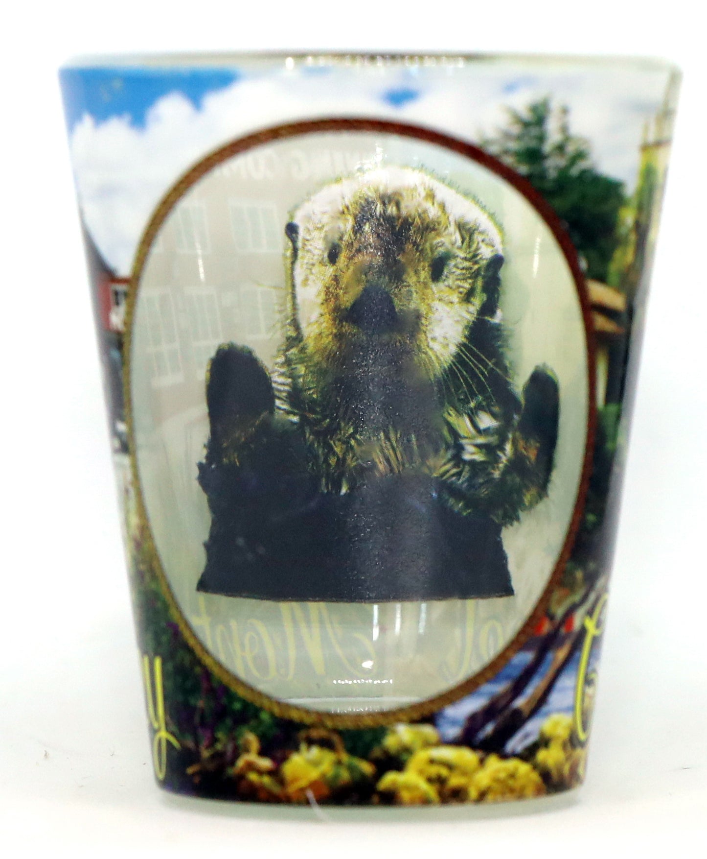 Monterey-Carmel California Window Collage Shot Glass