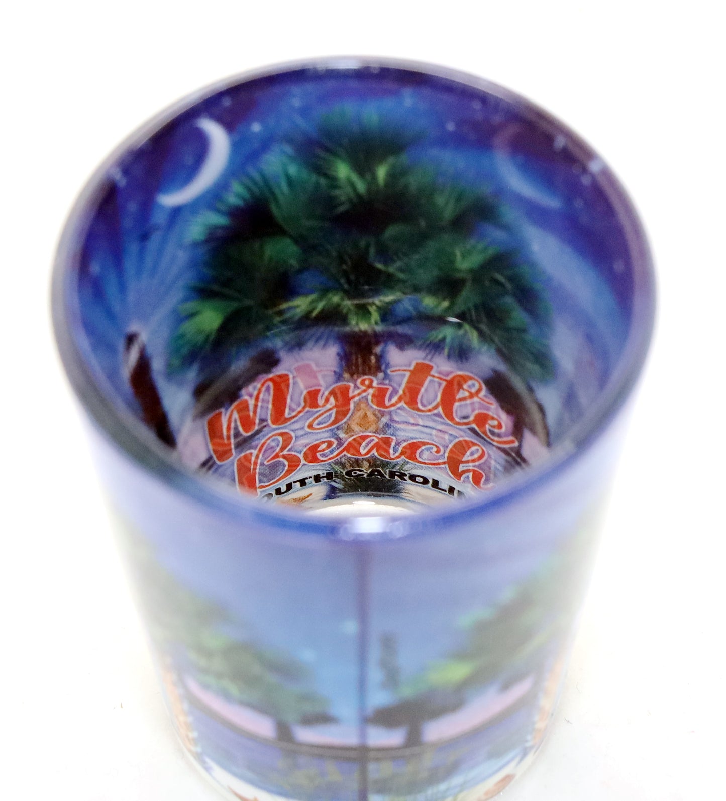 Myrtle Beach South Carolina Palm In and Out Shot Glass