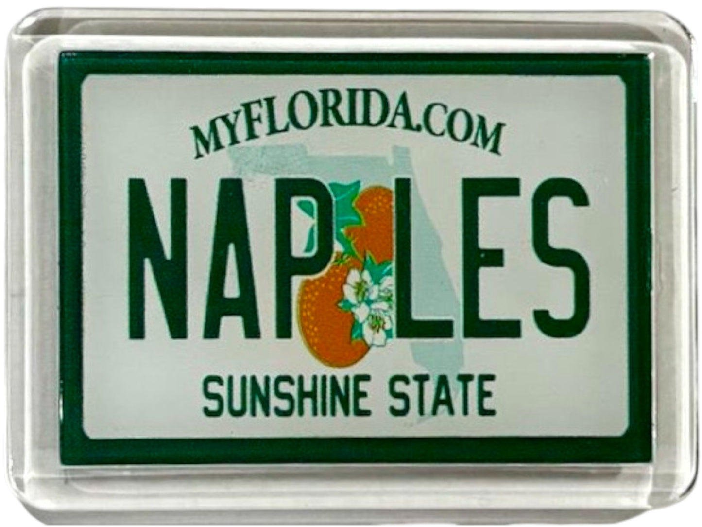 Naples Florida License Plate Acrylic Small Fridge Collector's Souvenir Magnet 2.35" X 1.75"