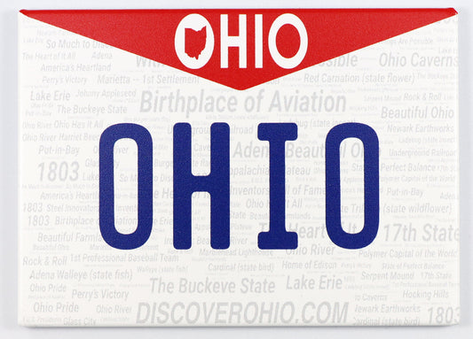 Ohio License Plate Fridge Collector's Souvenir Magnet 2.5" X 3.5"