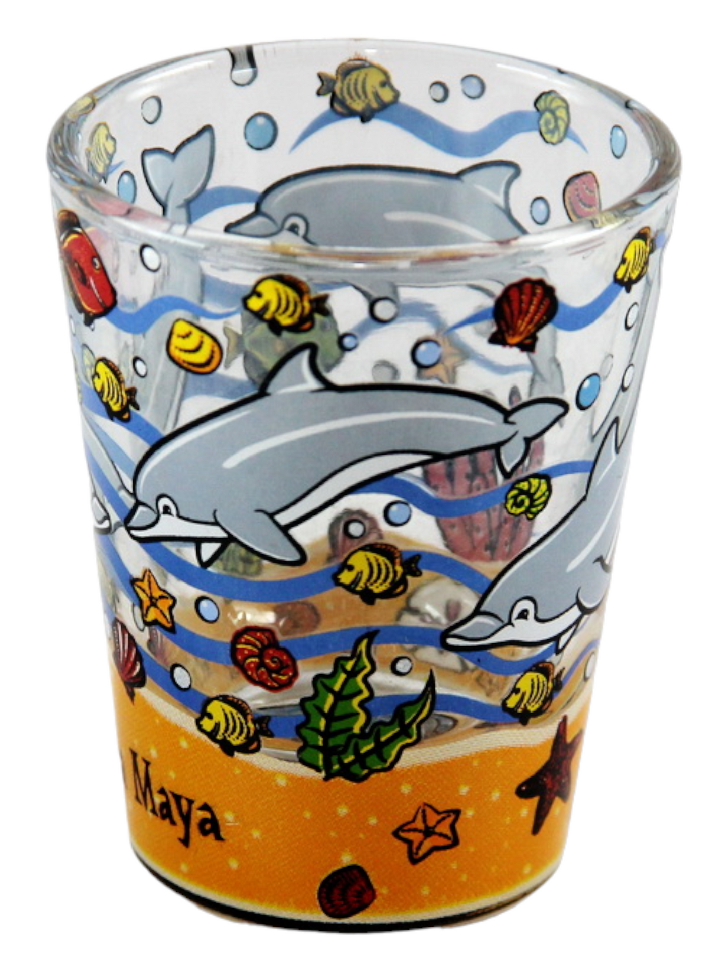 Riviera Maya Mexico Jumping Dolphins Bottom Design Shot Glass