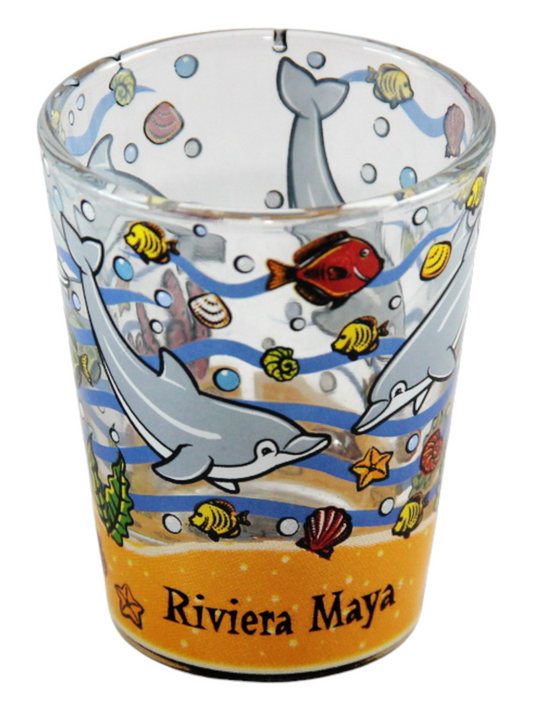 Riviera Maya Mexico Jumping Dolphins Bottom Design Shot Glass