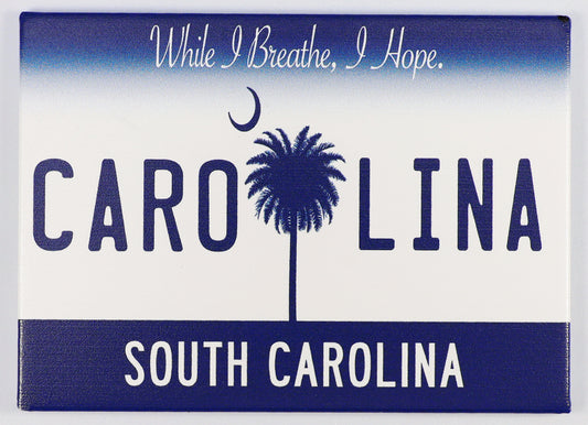 South Carolina License Plate Fridge Collector's Souvenir Magnet 2.5" X 3.5"