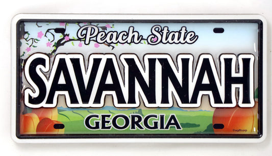 Savannah Georgia License Plate Dual Layer MDF magnet