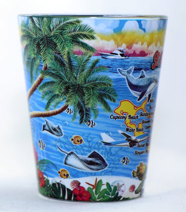 St. Martin Scene In and Out Shot Glass