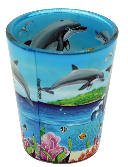 St. John US Virgin Islands Dolphins and Reef In and Out Shot Glass