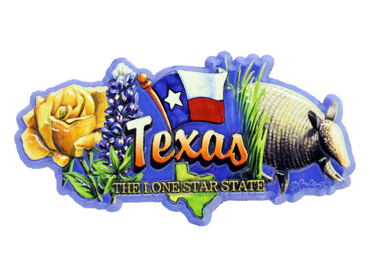 Texas State Elements Fridge Collectible Souvenir Magnet