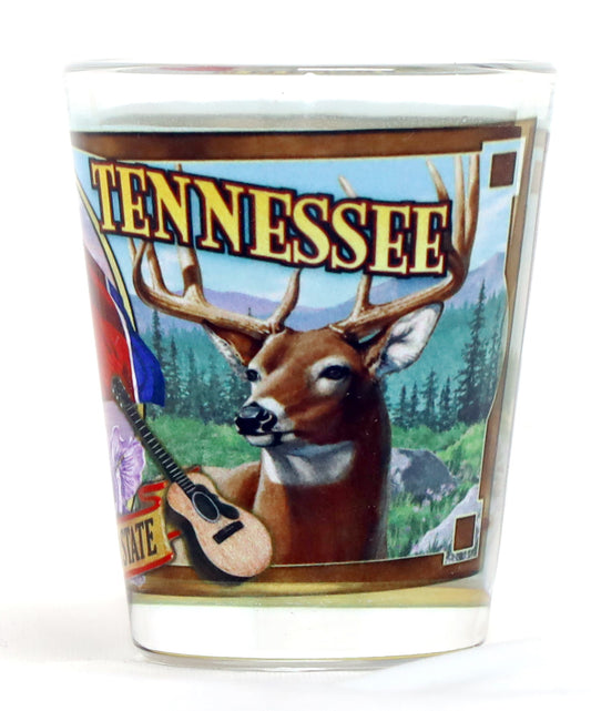 Tennessee State Mural Shot Glass