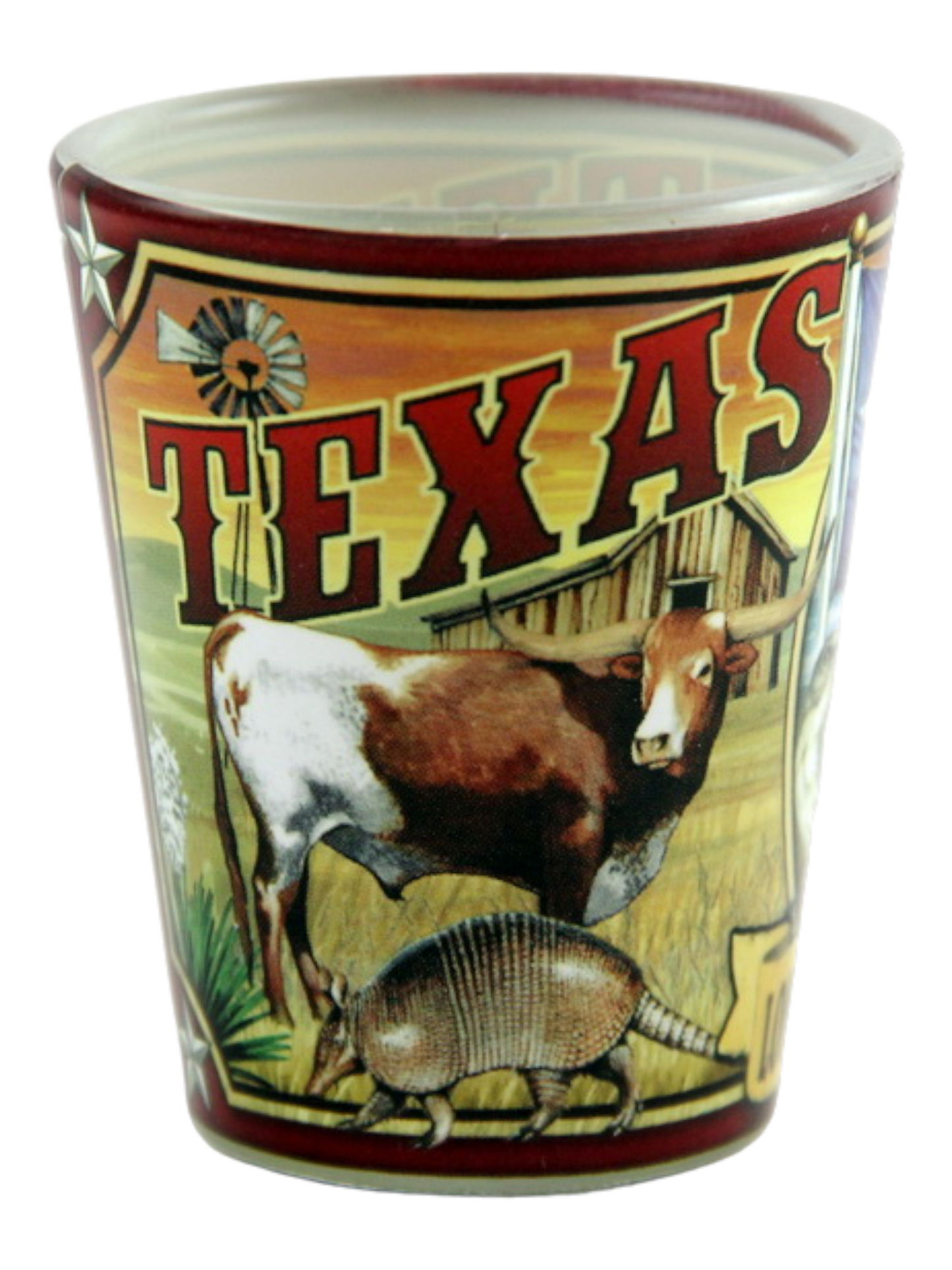 Texas State Mural Shot Glass