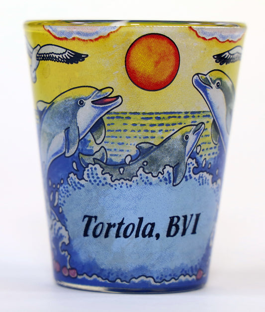 Tortola, BVI Dolphins In-and-Out Shot Glass