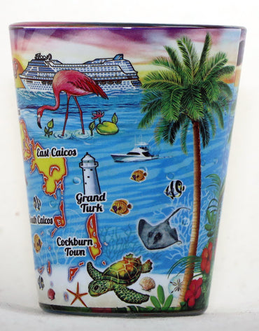 Turks & Caicos Scene In and Out Shot Glass