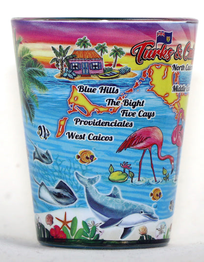 Turks & Caicos Scene In and Out Shot Glass