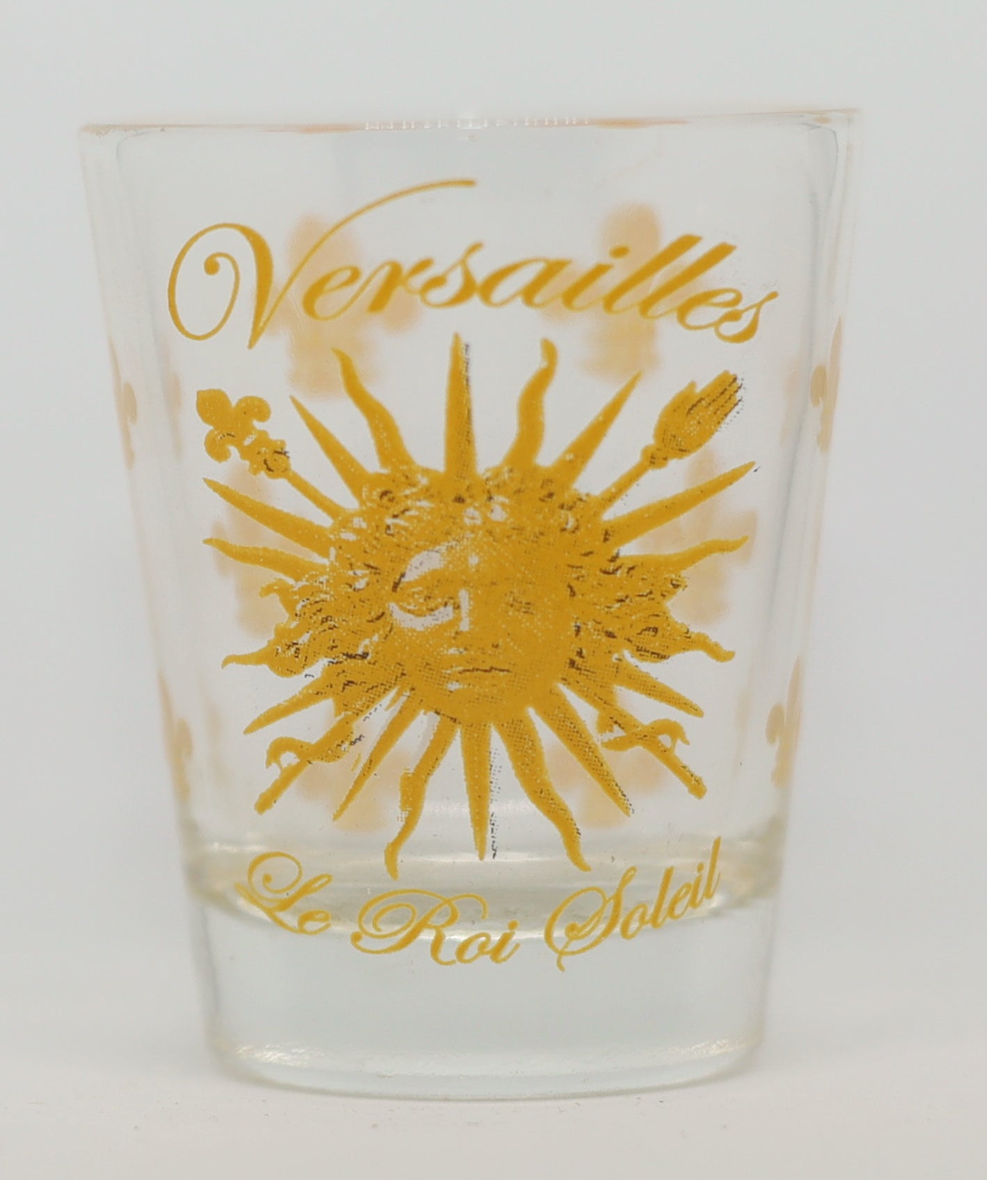 Versailles Palace Paris France Le Roi Soleil Shot Glass