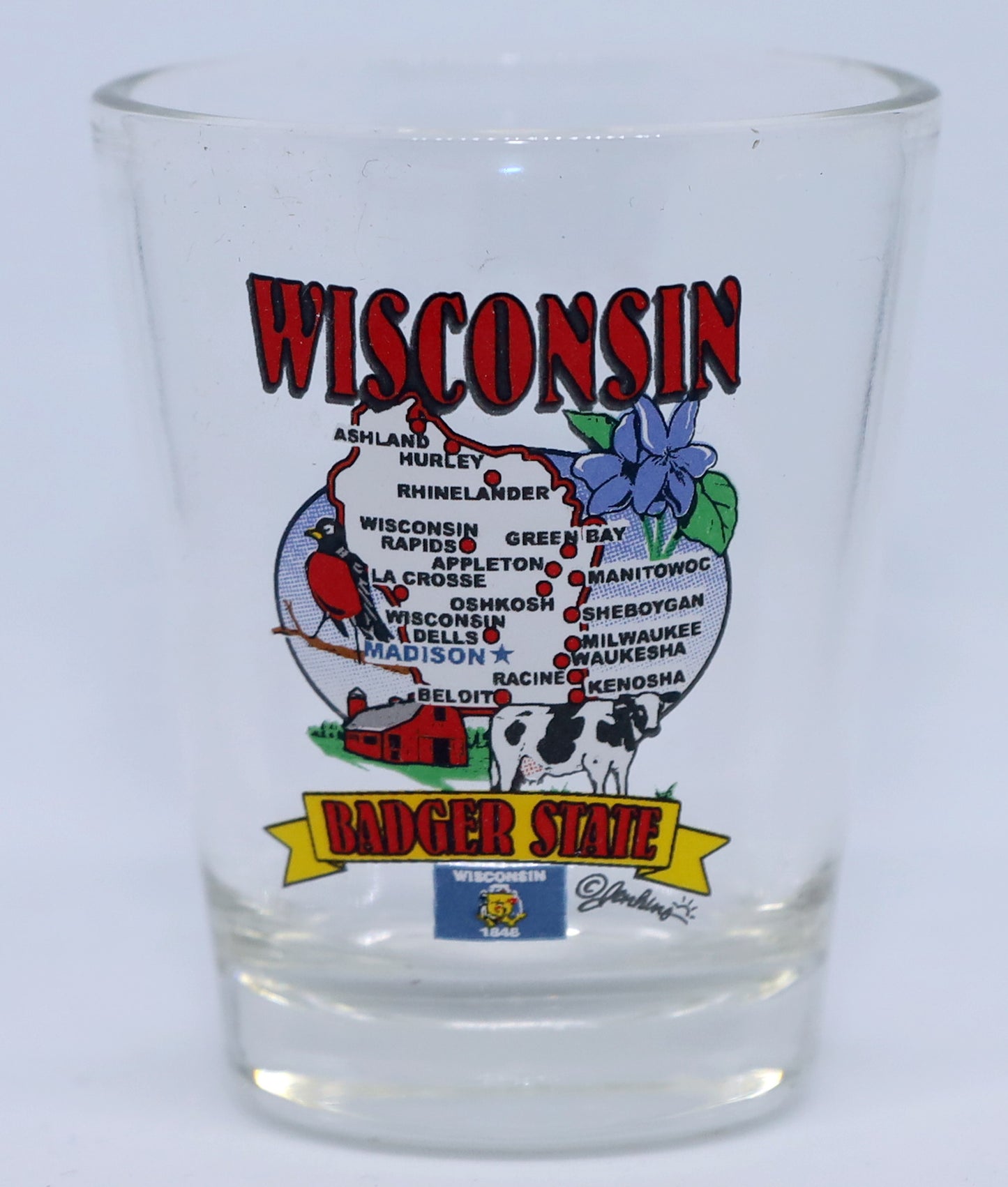 Wisconsin State Elements Map Shot Glass