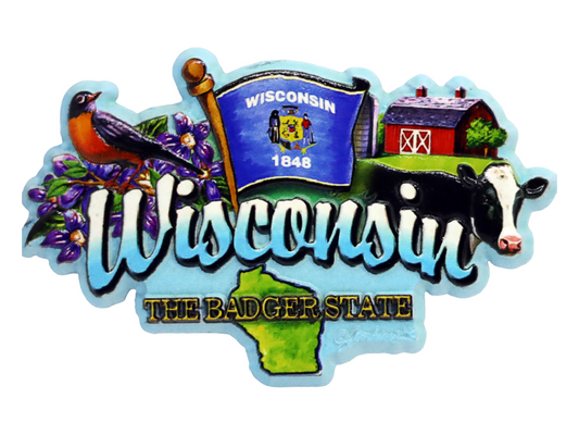 Wisconsin State Elements Fridge Collectible Souvenir Magnet