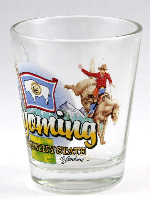 Wyoming Equality State Elements Shot Glass