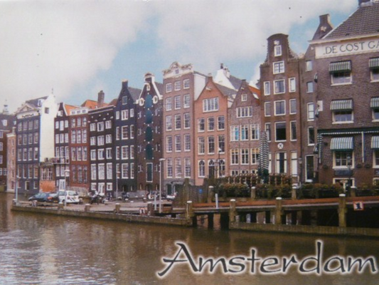 Amsterdam Netherlands Fridge Collector's Souvenir Magnet 2.5 inches X 3.5 inches