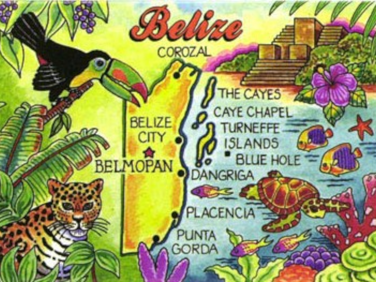 Belize Map Caribbean Fridge Collector's Souvenir Magnet 2.5 inches X 3.5 inches