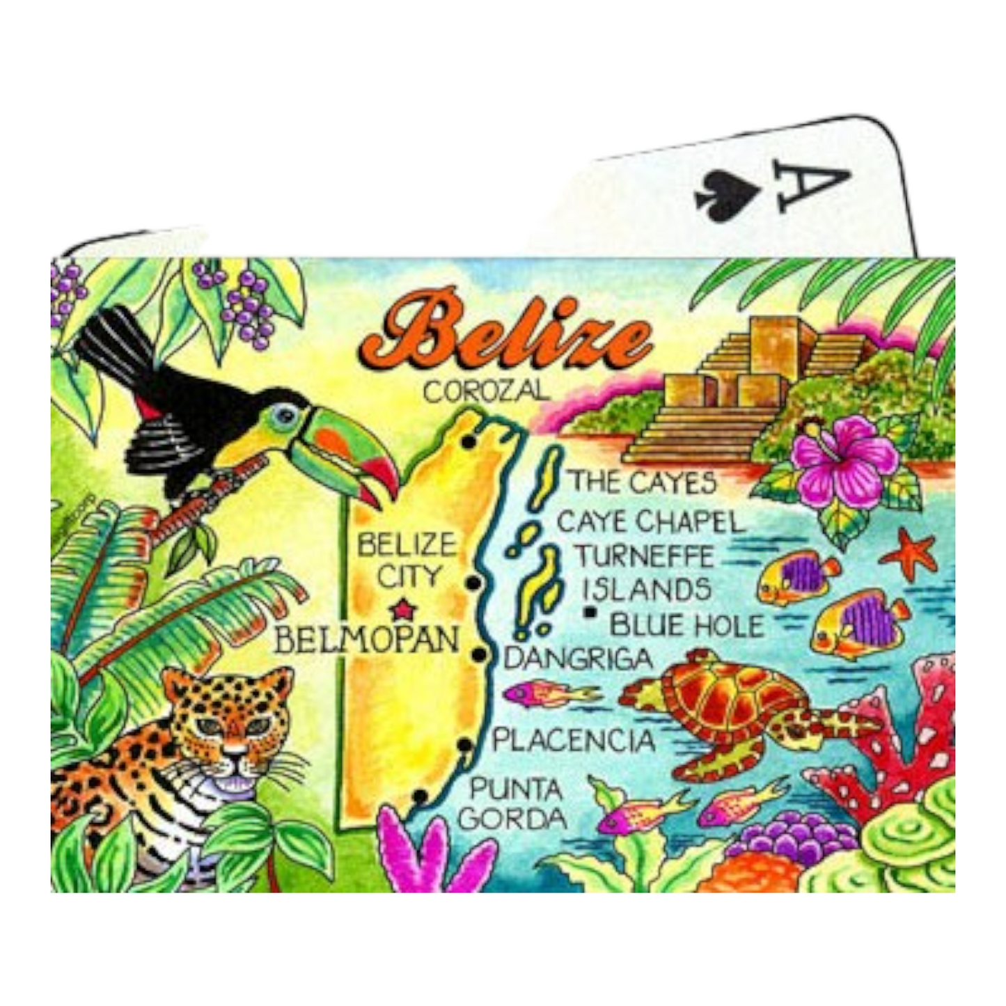Belize Central America Map Collectible Souvenir Playing Cards