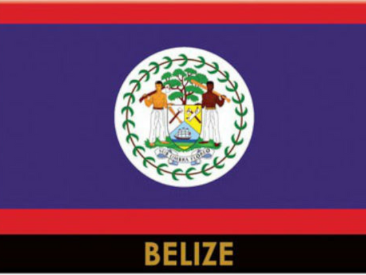 Belize Flag Caribbean Fridge Collector's Souvenir Magnet 2.5 inches X 3.5 inches