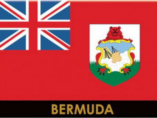 Bermuda Flag Caribbean Fridge Collector's Souvenir Magnet 2.5 inches X 3.5 inches