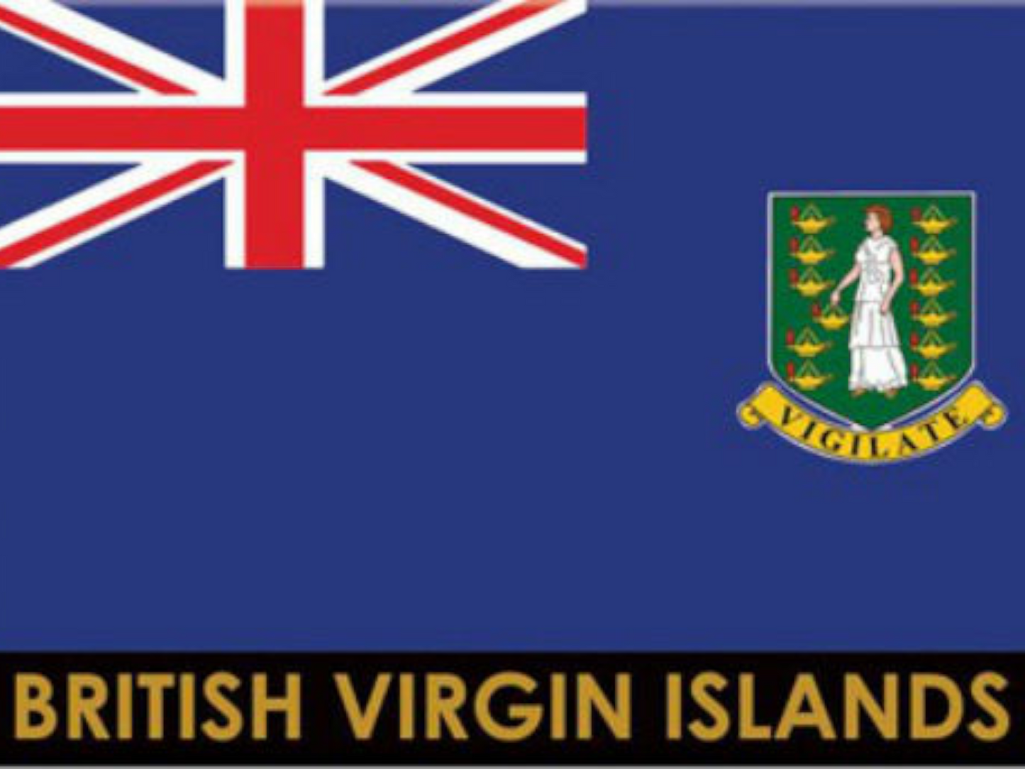 British Virgin Islands Tortola Flag Caribbean Fridge Collector's Souvenir Magnet 2.5 inches X 3.5 inches