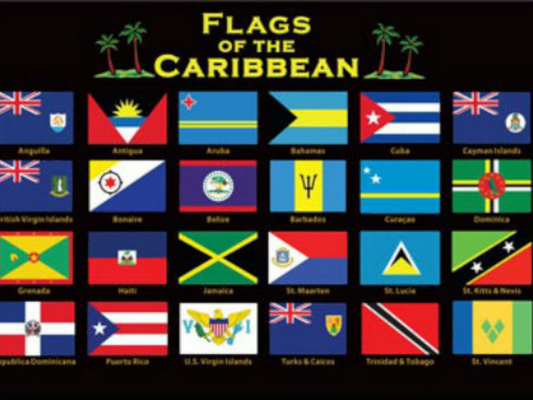 Caribbean Flags Fridge Collector's Souvenir Magnet 2.5 inches X 3.5 inches
