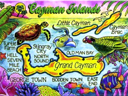Cayman Islands Caribbean Fridge Collector's Souvenir Magnet 2.5 inches X 3.5 inches
