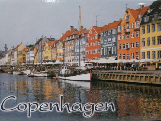 Copenhagen Denmark Fridge Collector's Souvenir Magnet 2.5" X 3.5"