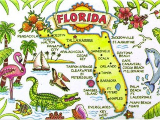 Florida White Horizontal Map Fridge Collector's Souvenir Magnet 2.5 inches X 3.5 inches