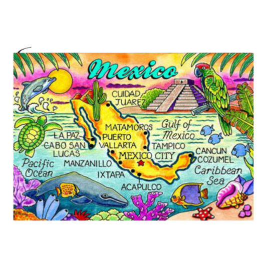 Mexico Map Collectible Souvenir Playing Cards