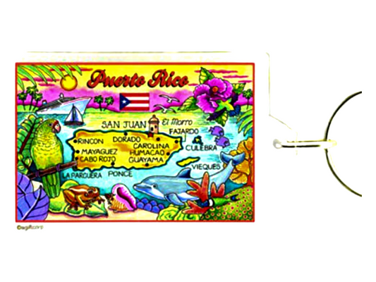 Puerto Rico Map Acrylic Rectangular Souvenir Keychain 2.5" X 1.5"