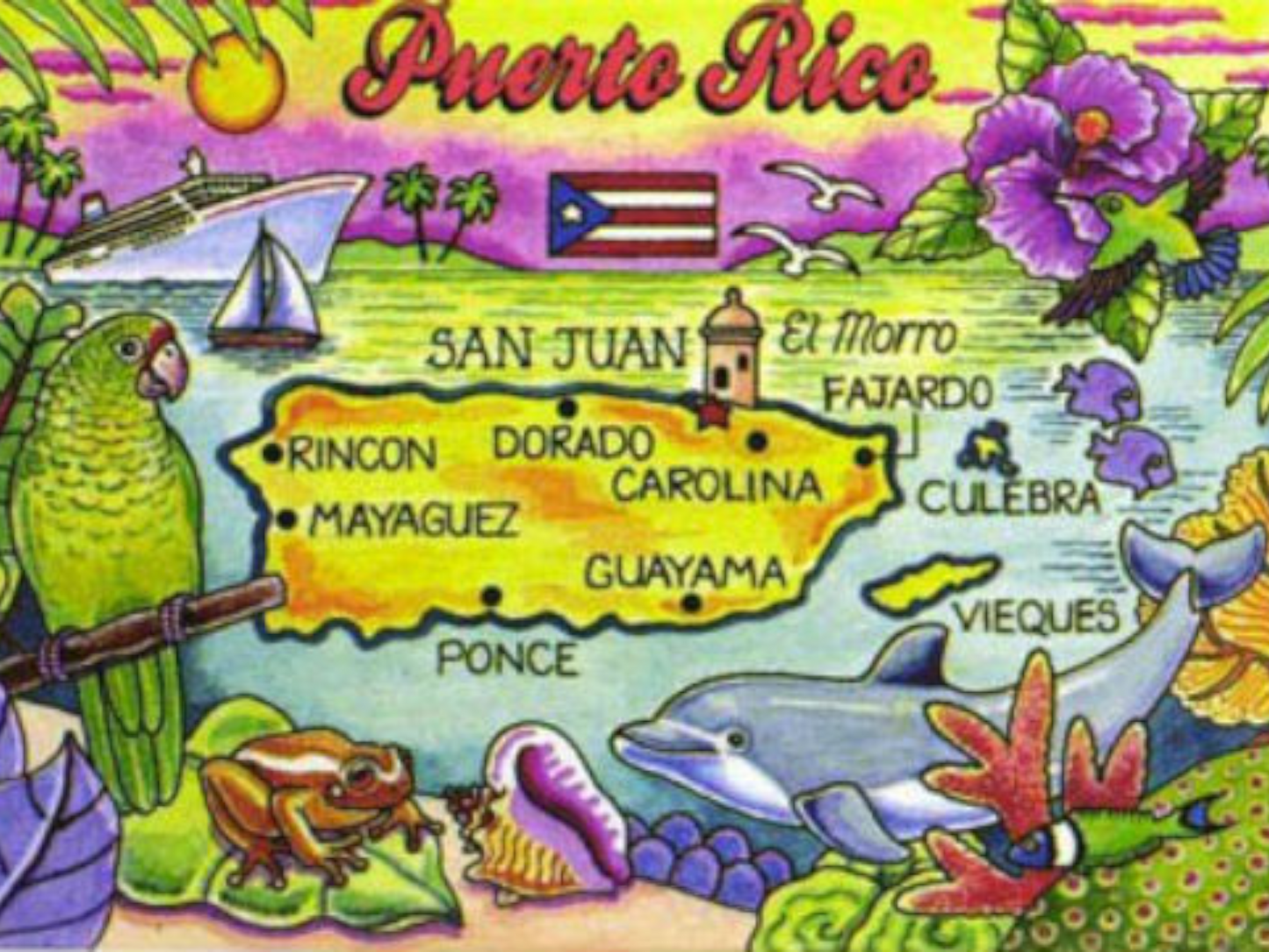 Puerto Rico Caribbean Fridge Collector's Souvenir Magnet 2.5" X 3.5"