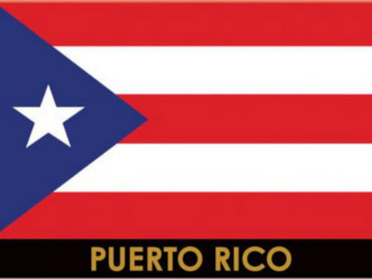 Puerto Rico Flag Caribbean Fridge Collector's Souvenir Magnet 2.5" X 3.5"