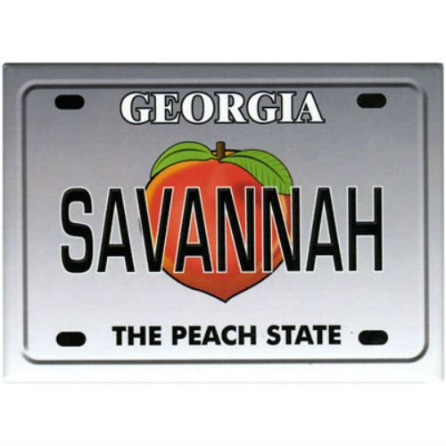Savannah Georgia License Plate Fridge Collector's Souvenir Magnet Classic Design 2.5" X 3.5"
